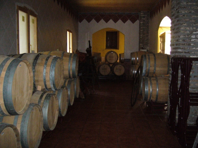  Interno della cantina 